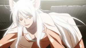Tsubasa Cat (3)