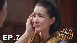 Episode 7
