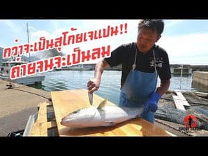 Episode 224