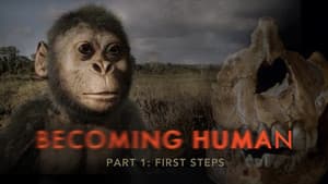 First Steps