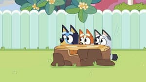 In the Garden