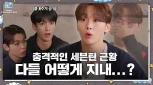 SPECIAL | ETC: Bunny Bunny Update Update