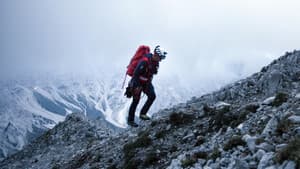 Lost in the fog