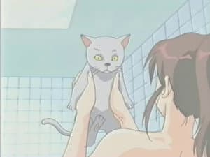 Deathmatch in the Electric Current Bath