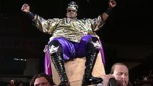 November 13, 1995