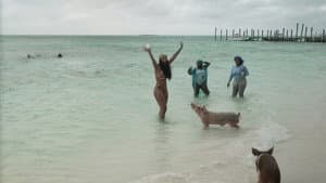 Bahamian Rhapsody
