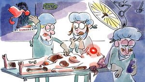 Anatomy’s Best-Kept Secret