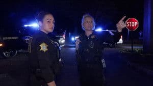 Repeat Home Invasion Suspect Search