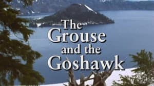 The Grouse and the Goshawk