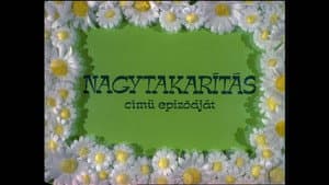 Nagytakarítás