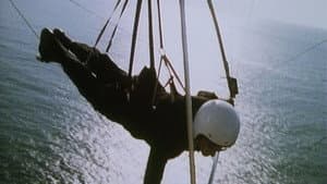 Fall of a Birdman