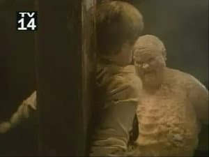 The Feverman