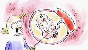 Placenta Eating