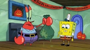 Moldy Sponge