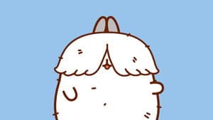 The Yeti