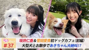 Episode 37