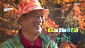 Episode 684