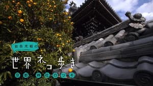 Kyoto Lucky Shrine