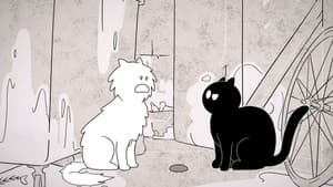 Catnip Trip