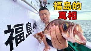跟着福岛渔民出海,捞上来的鱼检测结果如何?【东瀛大宝荐02】