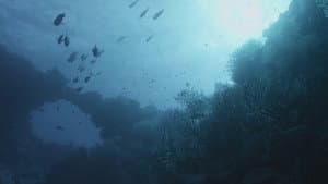 Underwater Alien Bases