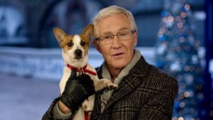 At Christmas (2014)