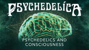 Psychedelics and Consciousness