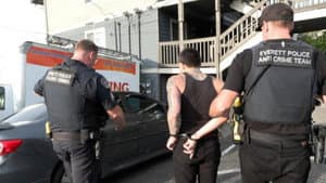 Suspect on Roof