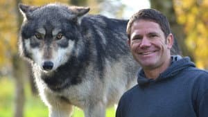 The Wolf