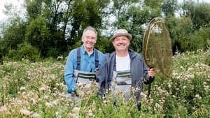 Perch: Birley Lake and River Wye, Herefordshire