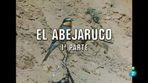 The Bee-eater I