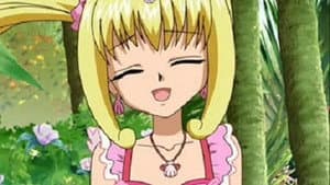 Seira's Flower Garden