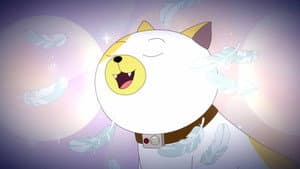 Cake the Cat