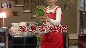 Episode 2728