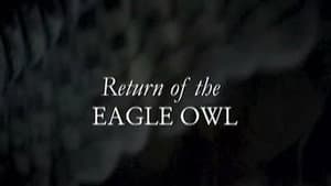 Return Of The Eagle Owl