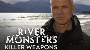 Killer Weapons