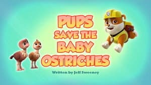 Pups Save the Baby Ostriches