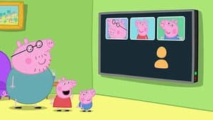 The New TV