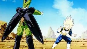Vegeta Must Pay