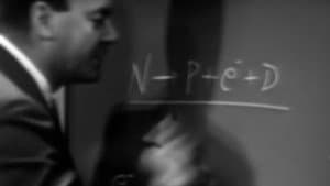 Symmetry in Physical Law
