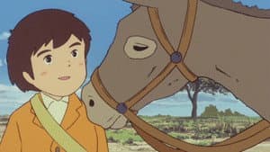 Don't Die, My Burro