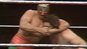 All Star Wrestling - December 31, 1977
