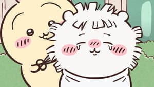 Episode 347