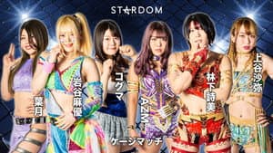 Stardom Fight in the Top 2022 ~Nagoya Summit Battle~