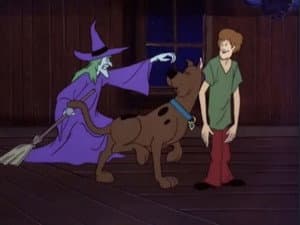 To Switch A Witch