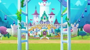 Big Birthday Surprise