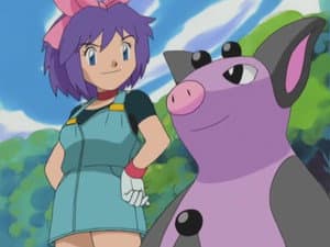 Pokéblock, Stock, and Berry (1)