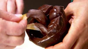 All About Chocolate