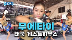 Which is stronger, Muay Thai or Taekwondo? [Thai Guesthouse 2]