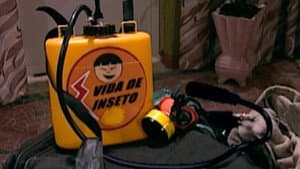 Vida de Inseto